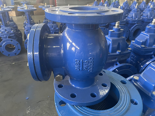 德标F6旋启止回阀