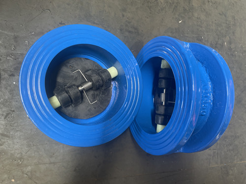 对夹式止回阀电镀板HT200体EPDM座304轴