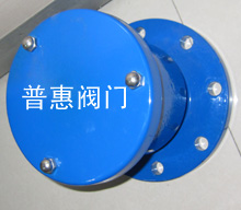 法兰排气阀